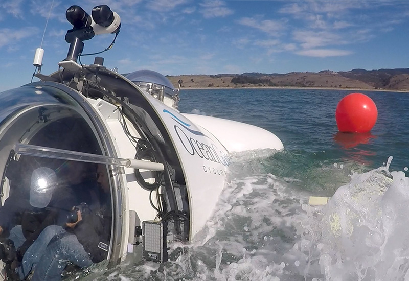 Link to Greater Farallones Expedition Photo Gallery