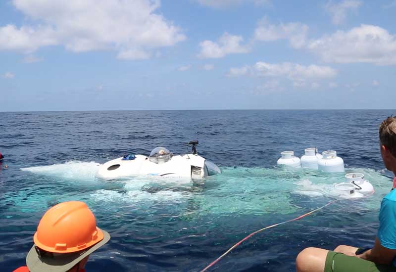 Link to Flower Garden Banks Expedition Photo Gallery