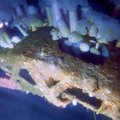 Closeup Photo of the Art Riedel