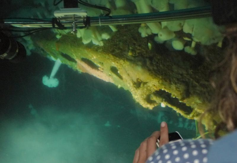 Link to Monterey Bay 2012 Expedition Photo Gallery